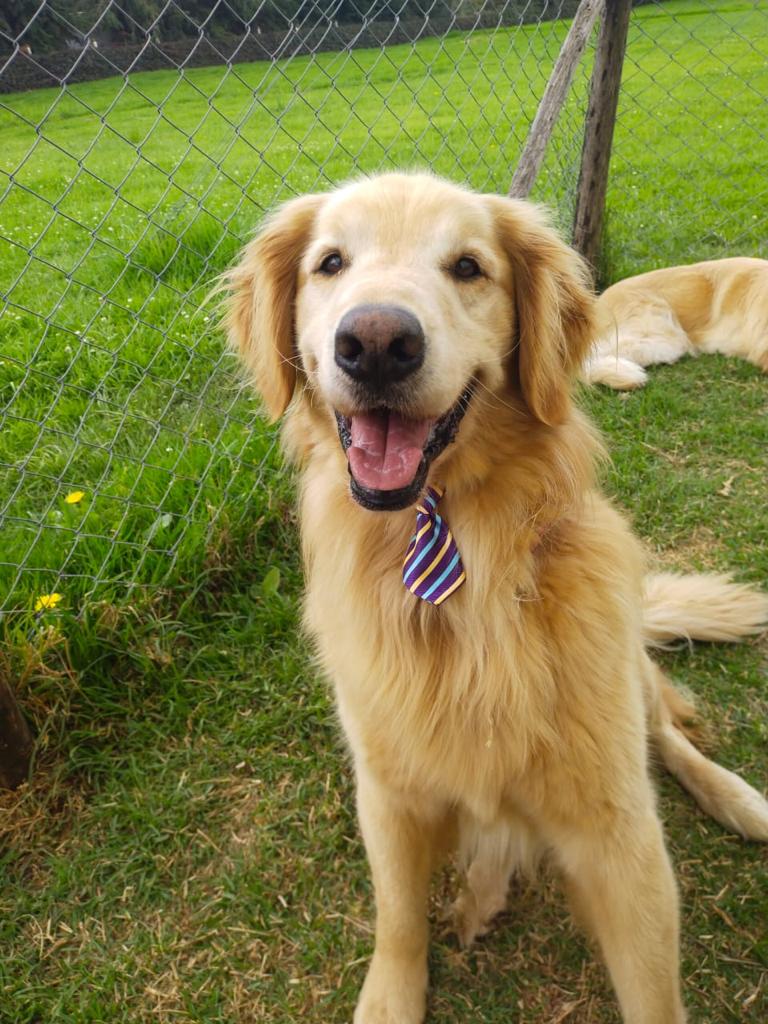 Socialización segura