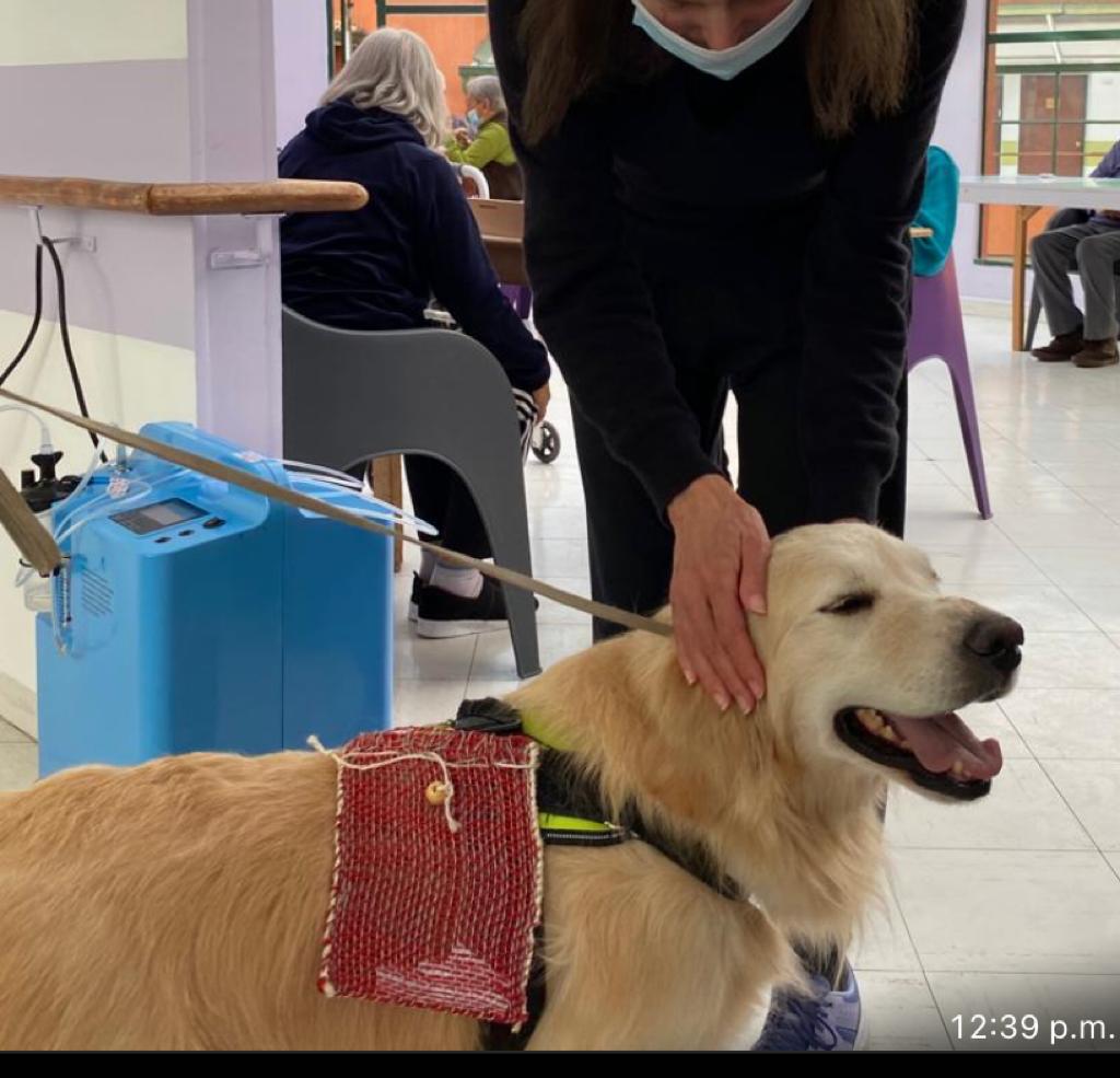 Entrenamiento positivo