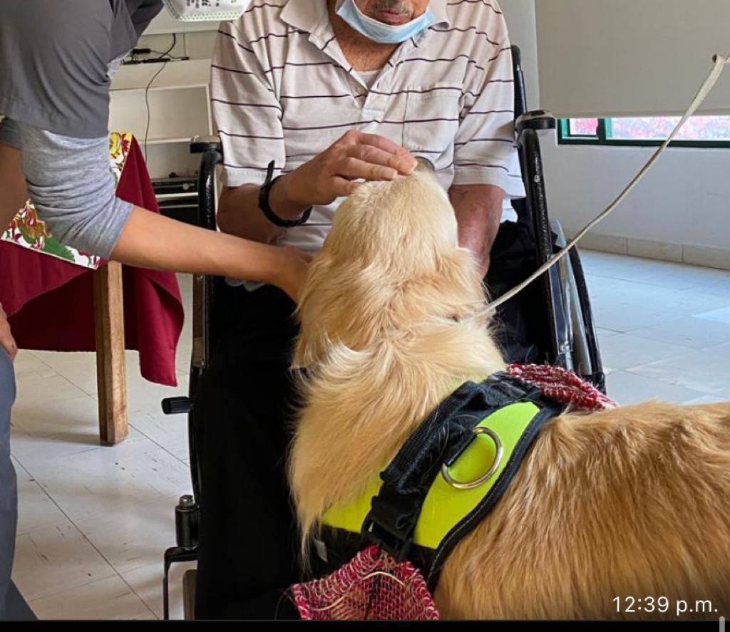 Entrenamiento positivo