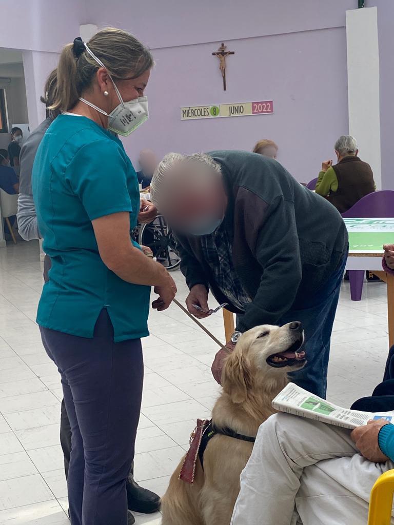 Entrenamiento positivo