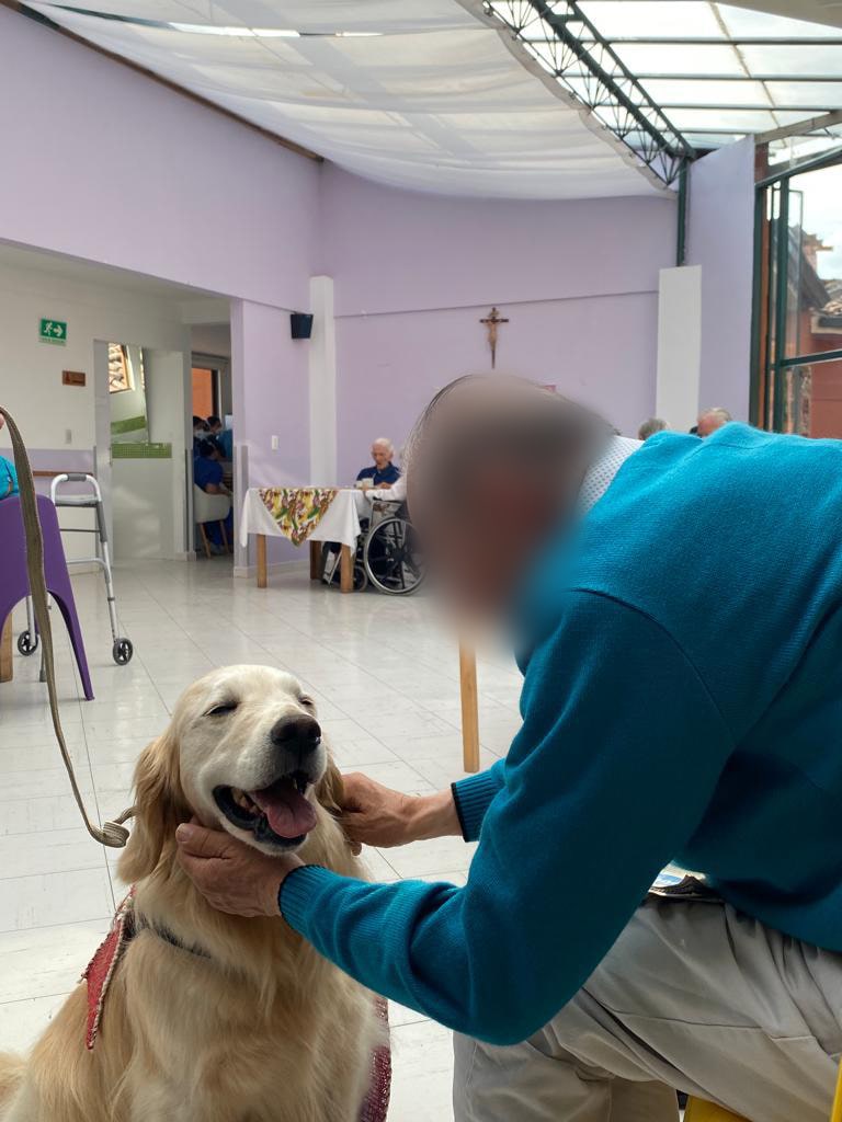 Entrenamiento positivo