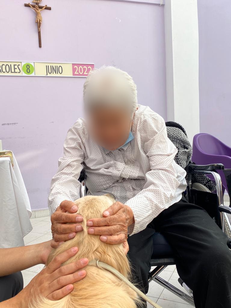 Entrenamiento positivo