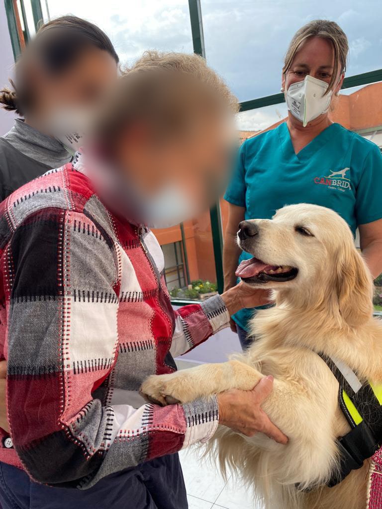 Entrenamiento positivo