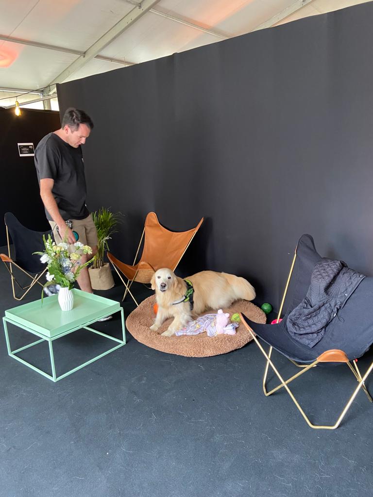 Entrenamiento positivo