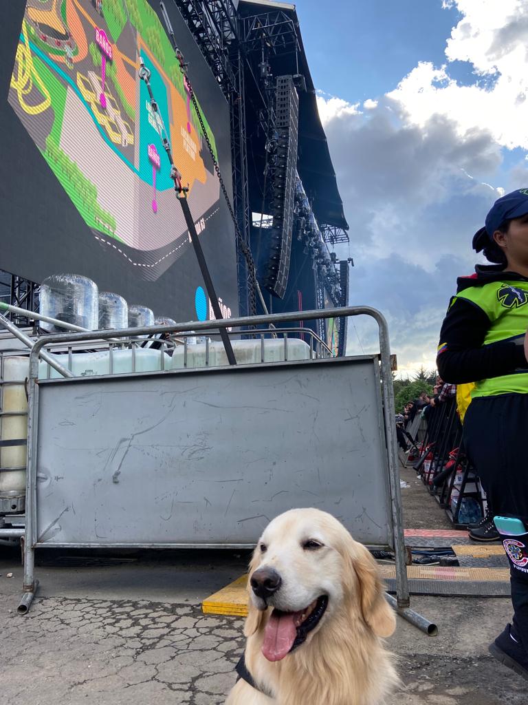 Dua Lipa Bogotá - 1