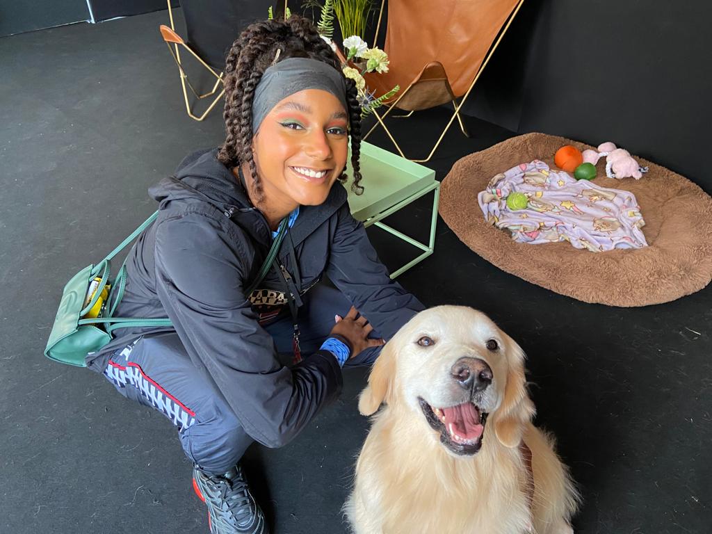 Perros de apoyo emocional en concierto de Dua Lipa Bogotá