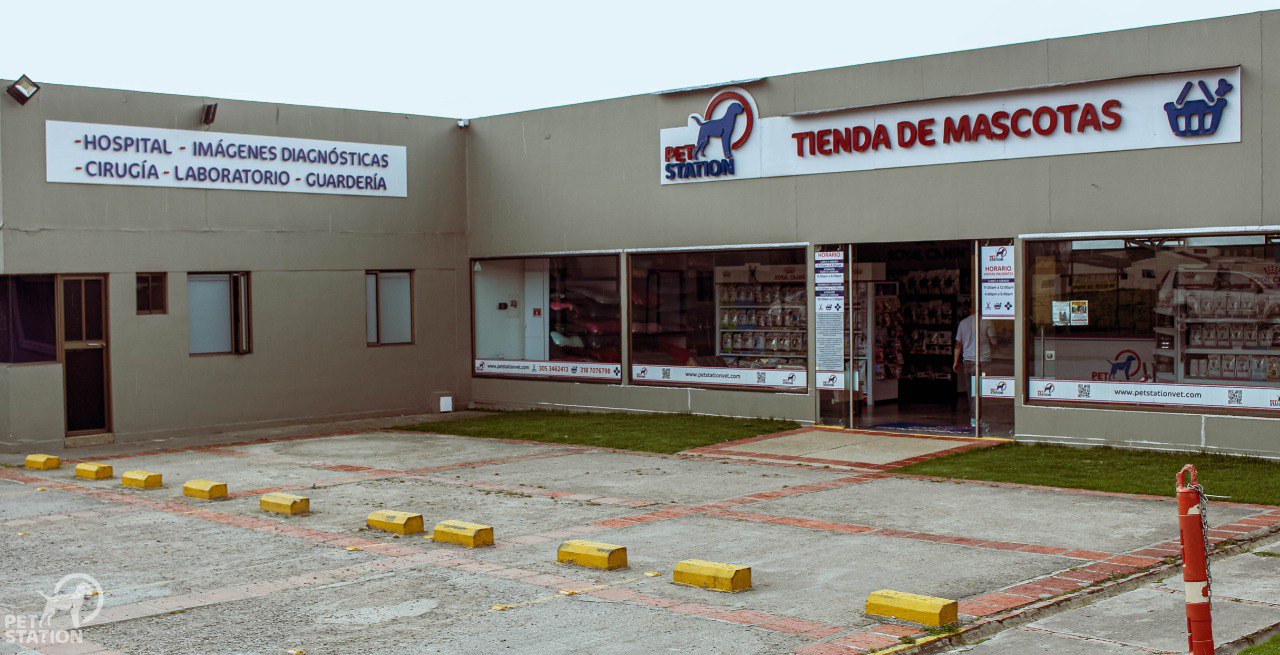 Entrenamiento canino positivo