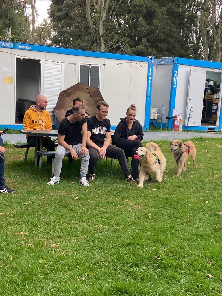 Perros de terapia en el Circo del Sol Bogotá