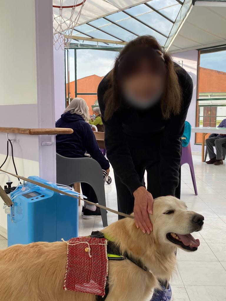 Perros de terapia y apoyo emocional CanBridge